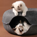 Cama Donut