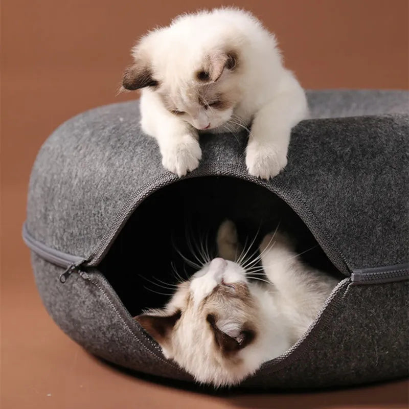 Cama Donut