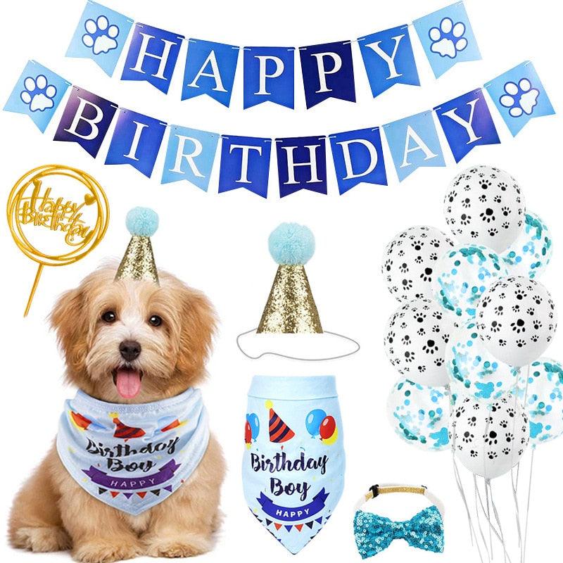 É meu aniversário - Zou Pet