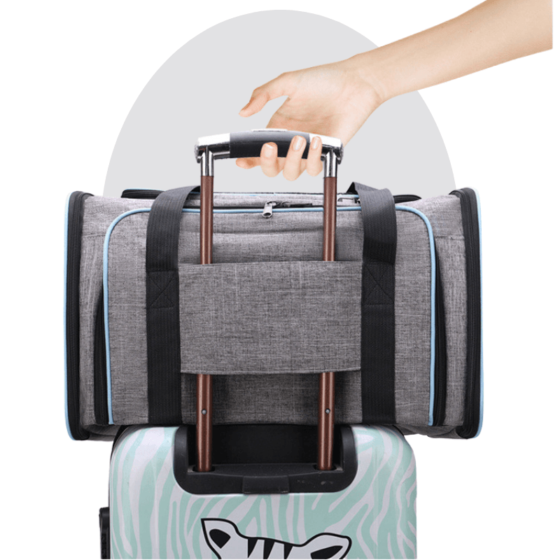 Bagpet Transporte - Zou Pet
