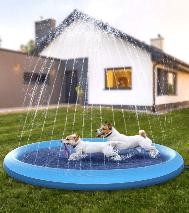 Piscina Funny Pet - Zou Pet